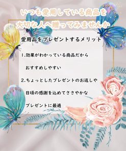 Dreams ふんばるず ぬいぐるみ L ナマケモノ ハリネズミ ミケネコ パンダ ペンギン ウーパールーパー カワウソ コアラ ヘビ 猫背 腰 姿勢矯正クッション 椅子 子供